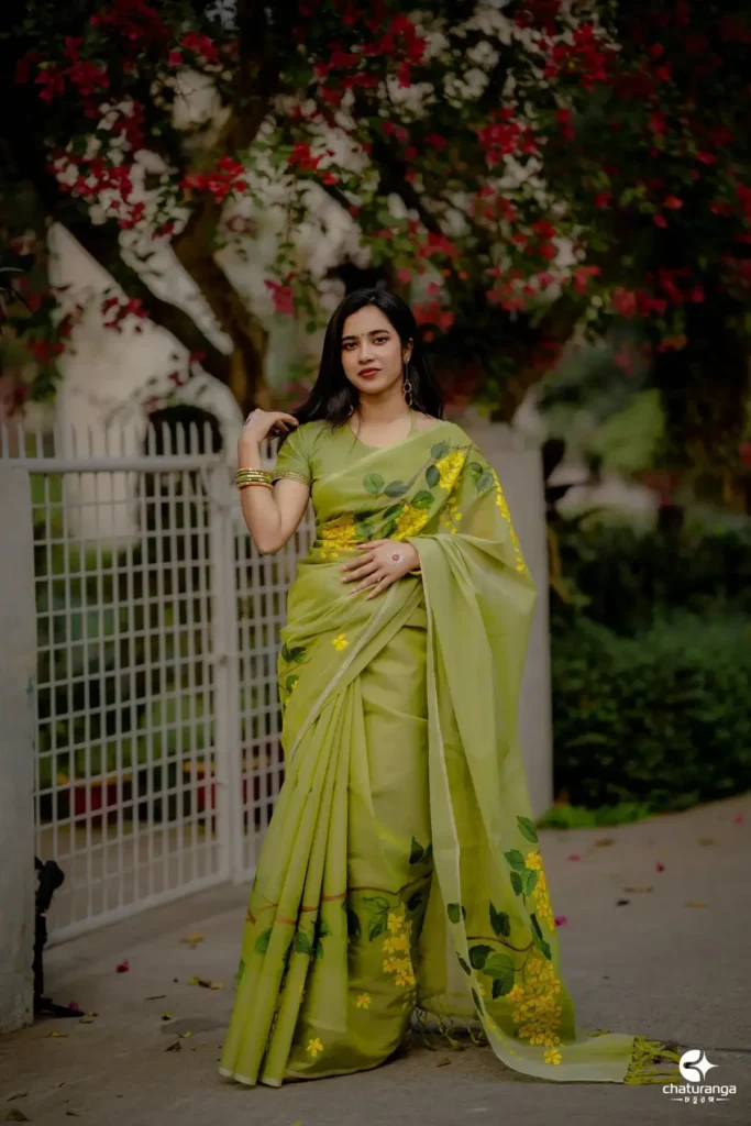 handpainted saree